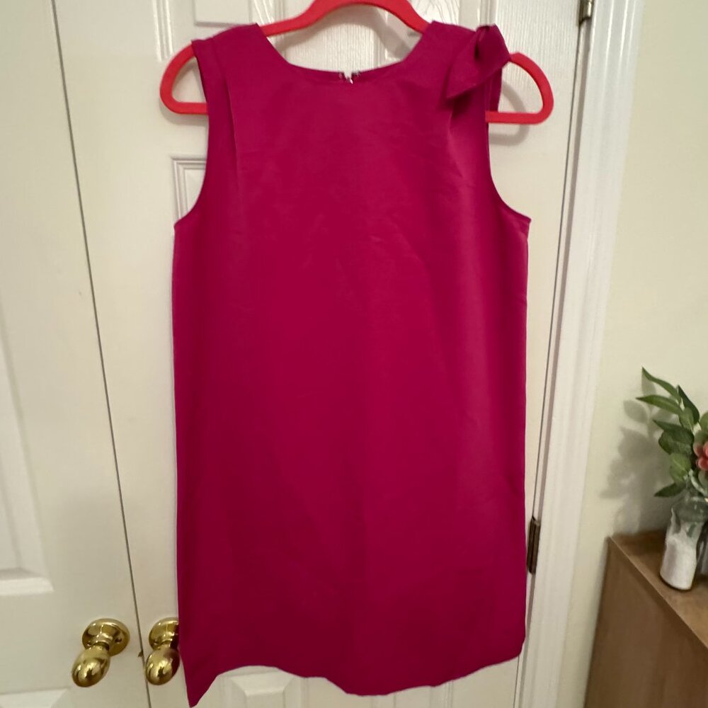 Ann Taylor Factory Pink Cocktail Dress